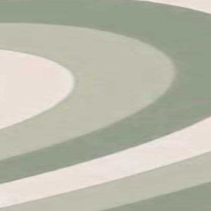 Meet your Posher, Desirae